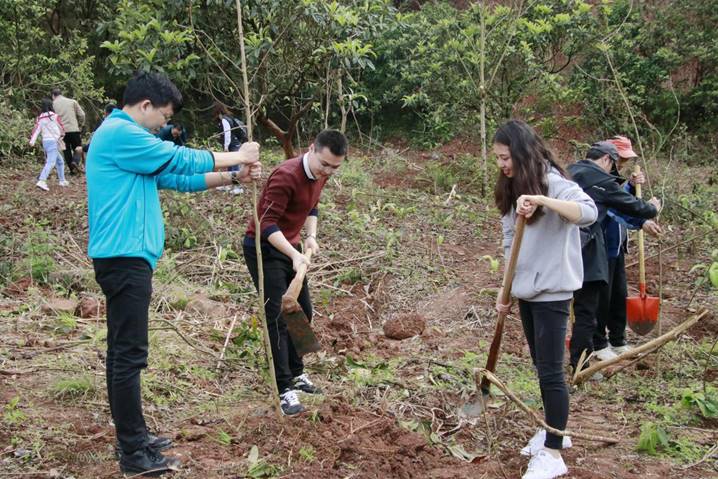 说明: 西华大学植树照片 (1)