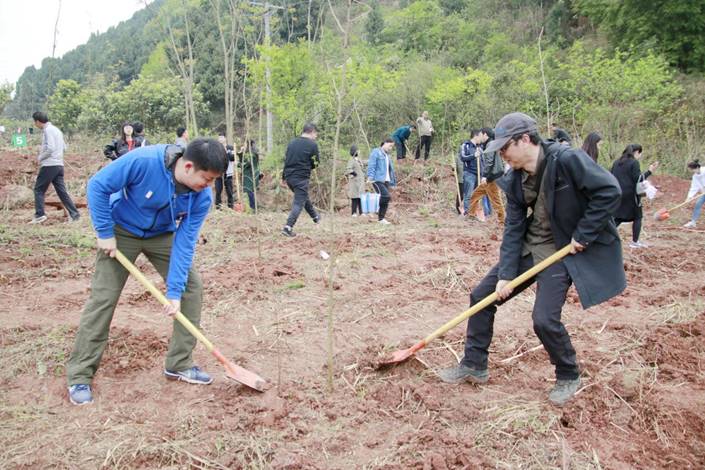 说明: 西华大学植树照片 (3)