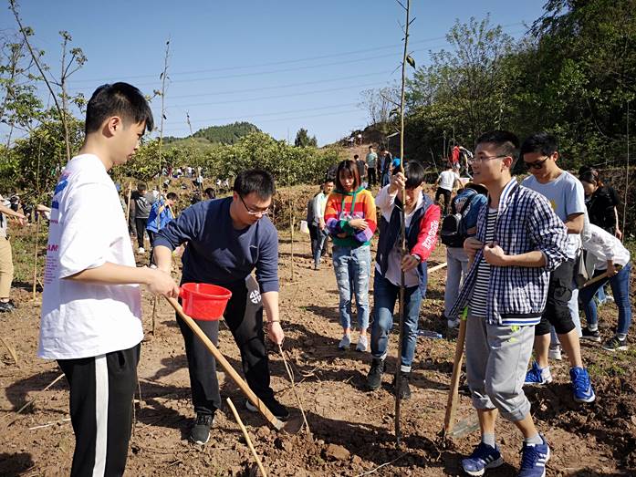 西南民族大学植树活动 (1)