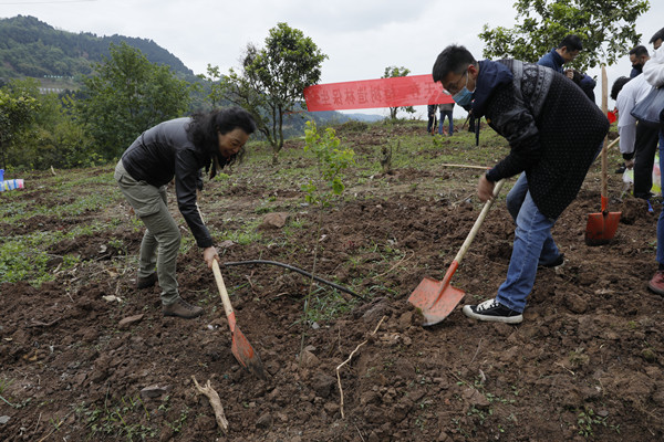 说明: https://hq.uestc.edu.cn/web/upload/image/20200426/1587887841911079211.jpg