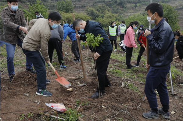 说明: https://hq.uestc.edu.cn/web/upload/image/20200426/1587887891966033699.jpg