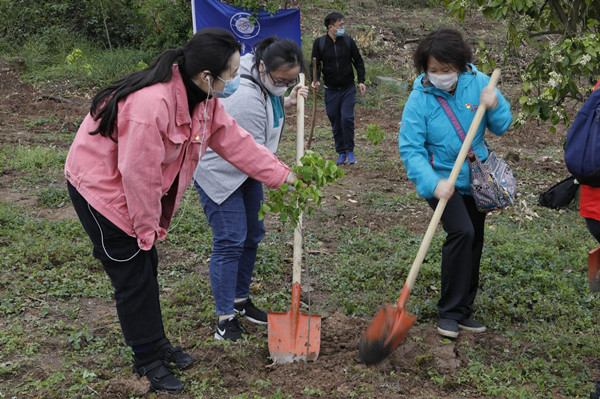 说明: https://hq.uestc.edu.cn/web/upload/image/20200426/1587887891993091100.jpg